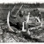 Саами Кольского полуострова. Фото первой половины 20 века