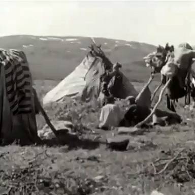 Из жизни северных саамов. Оленеводы. 1939 год